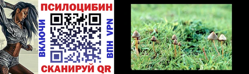 Галлюциногенные грибы прущие грибы  Козьмодемьянск 